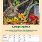 November 2027 Kalenderblatt. Bild zeigt einen Igel auf buntem Herbstlaub, daneben ein altes Rad und grüne Blätter.
