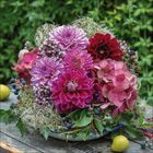 Keine sichtbaren Texte. Ein buntes Blumengesteck mit Dahlien und Hortensien, umgeben von grünen Blättern und Früchten.