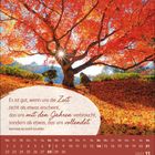 Zitat von Antoine de Saint-Exupéry über Zeit und Vollendung. Kalender: November 2027 mit Herbstlaubbaum.