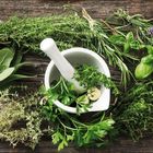 Keine Texte. Kräuter und ein Mörser auf rustikalem Holztisch, mit frischen grünen Blättern arrangiert.