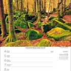 "Oktober October" in grün. Kalenderwoche 40. Herbstlicher Mischwald; Moos bedeckte Steine und orange Blätter fallen.