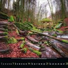 "Colourful Seasons" ist der Titel. Es zeigt verschiedene Landschaften im Wandel der Jahreszeiten in leuchtenden Farben.