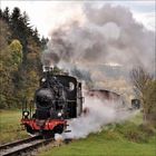 Eine historische Dampflok in ländlicher Landschaft, von Bäumen umgeben; rauchend mit Waggons hinten.