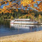 Der Text "Burg" auf dem Boot am Steg. Herbstliche Szenerie, bunte Blätter, Wald, See und Enten im Wasser.