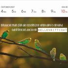 Text: "Braucht man für die Elternzeit unbedingt ein Kind oder reicht auch ein Wellensittich?" 

Fünf Wellensittiche auf Ästen.