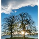 10. März, Kalenderwoche mit Montag bis Sonntag. Zwei Bäume bei Sonnenaufgang, Kreuz dazwischen, blauer Himmel, Wolken.