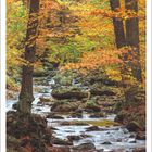 Kalender: November 2027. Ein bunter Herbstwald mit fließendem Bach und bunten Blättern auf den Bäumen.