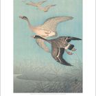 November 2027. Illustration von fliegenden Gänsen über Schilf vor blauem Himmel. Gezeichnet von Ohara Koson.