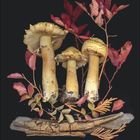 "11" und Zahlen 1-30. Illustration von Pilzen mit roten Blättern und einem Stück Holz auf schwarzem Hintergrund.