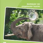 Text: "Dickhäuter mit eingebauter Dusche", "7", "Mittwoch", "Juli". Ein Elefant spritzt Wasser mit seinem Rüssel.