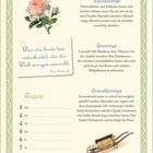 "Was wir heute tun, entscheidet, wie die Welt morgen aussieht." - Boris Pasternak. Illustration mit Rose und Schubkarre.