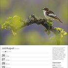 Juli/August, 30. Woche: Kalenderseite mit einem Vogel auf einem Ast, Text über Trauerschnäpper, Feiertage markiert.