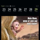 August, 34. Woche, 23–29. "Mein Mann, wenn er sich mal nass rasiert." Babyaffe leicht amüsiert, schaut hinter Fell hervor.