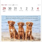 Wochenkalender März/April, Zitat von Thomas Woodrow Wilson über das Verhalten von Hunden. Drei braune Hunde am Strand.