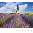 Juli, Lavendelfeld in der Provence, Frankreich. Eine kleine Hütte steht mitten im blühenden Lavendelfeld unter blauem Himmel.
