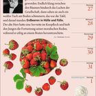 THEODOR STORM: Erdbeeren in Hülle und Fülle. JULI AUGUST. Rezept für Erdbeer-Tiramisu. Voller Woche mit 26-31, Sonntag 1.