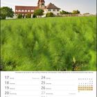 Fenchelfeld vor der Kirche St. Peter und Paul in Niederzell, Insel Reichenau. Kalendarium für Mai 2027.