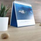 Ein Zitat: "Gott ist in die Tiefe des Menschenherzens ...". Ein Tischkalender auf einem Holzuntergrund, neben einer Pflanze.