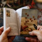 Links ein Buch mit "Zehn der Schwerter" und Text, rechts eine Tarotkarte mit einem Kind und Pfeilen. Im Hintergrund unscharfe Pflanzen.