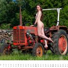 Kalenderblatt November, eine nackte Frau posiert auf einem alten roten Traktor im Freien, umgeben von Holzstapeln und Wiese.