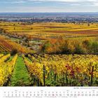 Kalenderseite für November 2027 zeigt eine herbstliche Weinberge-Landschaft in der Pfalz mit bunten, goldenen Blättern.