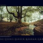 "09 September." Ein Wald mit moosbedeckten Bäumen, ein Bach fließt durch die Szene.