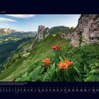 06 Juni. Ein Bergpanorama mit grünen Hängen und orange-roten Blumen im Vordergrund, vereinzelt noch Schneeflecken.