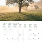 May Mai Maggio Mayo Mei Mai. Kalender mit Monatsübersicht und Feiertagen. Baum steht im morgendlichen Nebel auf Feld.