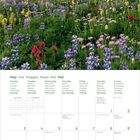 Mai 2027, Montag bis Sonntag in fünf Sprachen, Berg mit Blumenwiese, Wolken am Himmel.