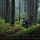 Kalender mit Zahlen 1 bis 31, Wochentage Mo-So. Ein Mountainbiker fährt durch einen nebligen, moosigen Waldpfad.