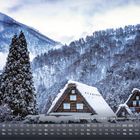 Shirakawa-go – traditionelle Gassh-Häuser im Schnee. Verschneite Holzhäuser und Bäume vor einem bewaldeten Berghang.