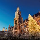 Weihnachtsmarkt 12; Kalender mit Datum am unteren Rand; große, beleuchtete Tanne vor historischer, beleuchteter Architektur.