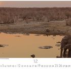 "Elefanten am Wasserloch beim Sonnenuntergang" und der Monat Dezember sind erwähnt. Zwei Elefanten trinken am Wasserloch.