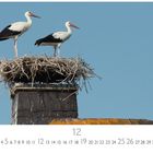 Kalenderseite für Dezember. Zwei Störche auf einem Nest auf einem Schornstein, blauer Himmel im Hintergrund.