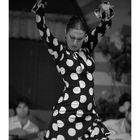 12, Casares Edition, zeigt Frau beim Flamenco-Tanz, Hände erhoben, gepunktetes Kleid, entschlossene Miene.