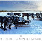 Rentiergespanne im Schnee; eine Ansammlung von Rentieren mit Schlitten auf einer weiten Winterlandschaft.