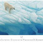 Unten: Zahlen 1-31 in Reihenfolge, 12 ist hervorgehoben. Ein Eisbär steht auf schmelzendem Eis über blauem Wasser.