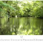 "12", darunter Kalenderdaten in zwei Reihen, "CASARES EDITION." Dicht bewachsener, grüner Fluss in einem Wald.