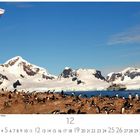 „Station Presidente Gonzales Videla.“ Eine chilenische Flagge weht nahe einer Pinguinkolonie, schneebedeckte Berge im Hintergrund.