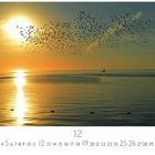 Unten steht: "Sunset", "12", und eine Monatsübersicht. Oben fliegen Vögel über einem goldenen, ruhigen Ozean.