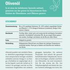 Olivenöl: Beliebtes Speiseöl weltweit, aus Oliven gewonnen. Steckbrief: Zusammensetzung, Geschmack, Farbe, Verwendung.
