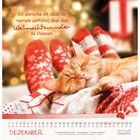 Text: "Ich wünsche dir, dass du niemals aufhörst, über das Weihnachtswunder zu staunen."  
Ein schlafendes Kätzchen liegt an rot-weißen Socken. Dezemberkalender.