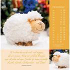 Kalender für Dezember mit Spruch von Johannes Hansen. Ein lächelndes Schaf im Schnee; im Hintergrund bunte Geschenke.