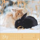 Text: Dez; Mo-So, 1-31. Zwei Kaninchen sitzen im Schnee.