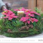 "DEZEMBER" text unten rechts. Adventskranz: Rote Blätter, Tannenzweige, Zapfen, Kerze in der Mitte. Atmosphärische Dekoration.