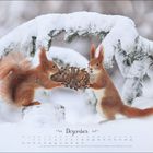 Text: Dezember, Kalenderzahlen vom 20. bis 31. Zwei Eichhörnchen im Schnee halten einen Tannenzapfen.