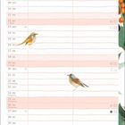 Kalenderseite für Dezember mit Vogelillustrationen und Stechpalmen. Feiertage wie Weihnachten und Silvester sind markiert.