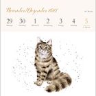 November/Dezember 2021 Kalender mit Kätzchen-Illustration, umgeben von schwarzen Punkten, 48. Woche.