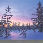 12 | Dezember. Schnee bedeckte Bäume in einer Winterlandschaft bei Sonnenuntergang, rosa und violetter Himmel.