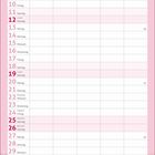 Kalender für Dezember. Foto einer Katze mit Lichterketten im Vordergrund, Hintergrund unscharf.